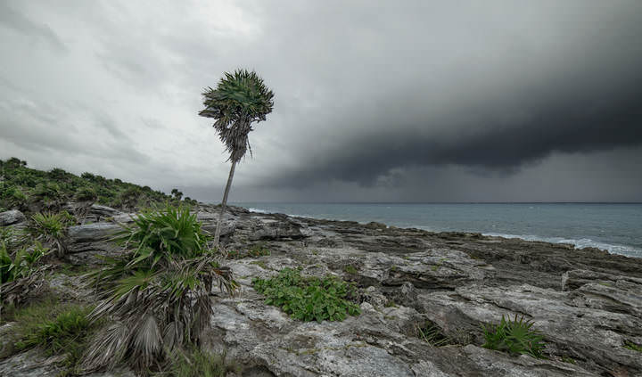 Friendly coast of Xcaret