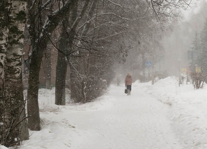Последняя метель