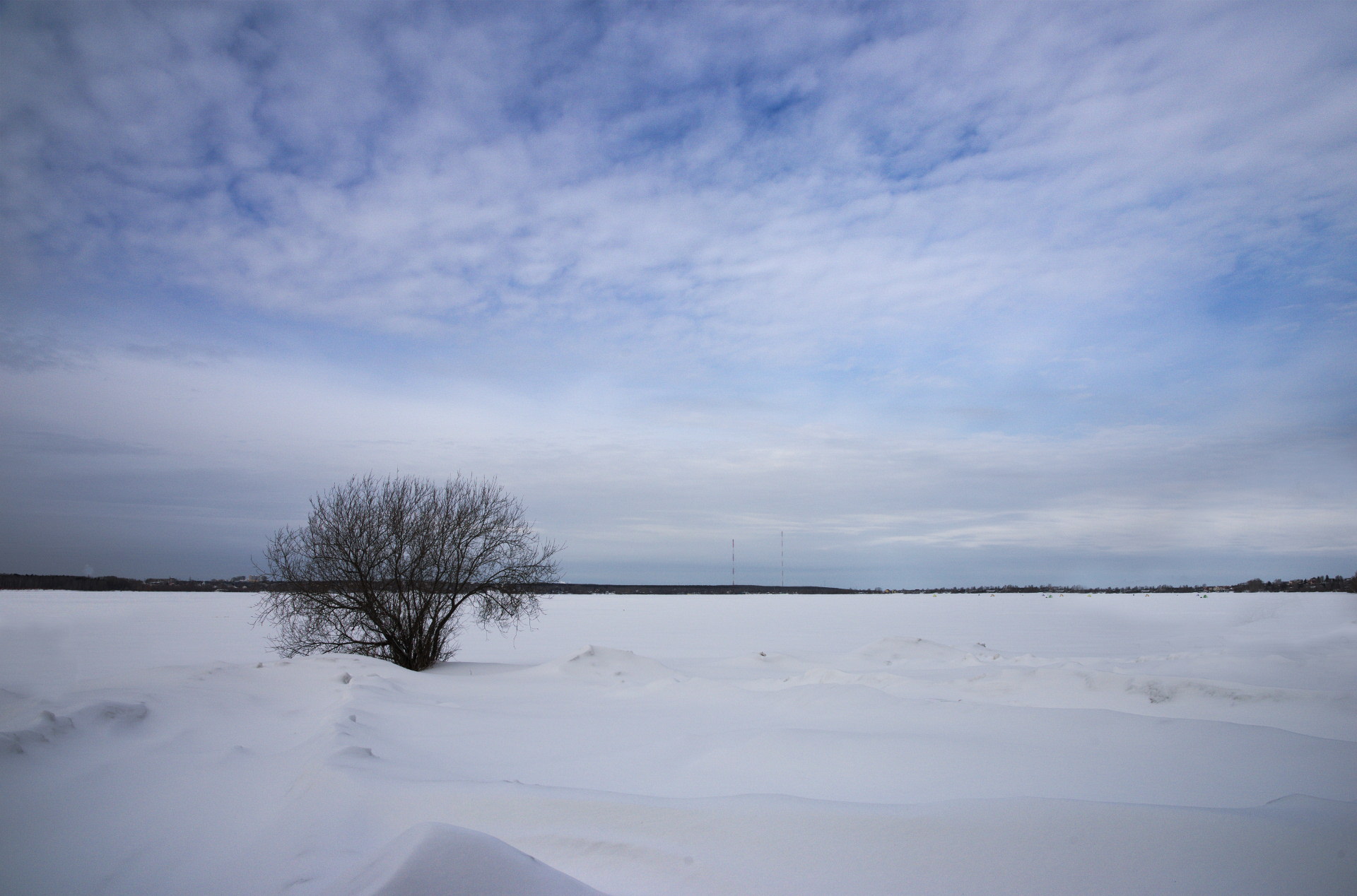 Одинокий куст на берегу озера в ожидании весны..)