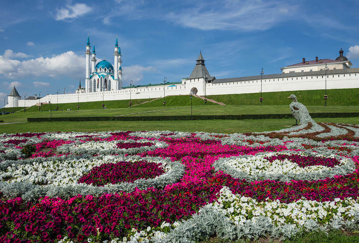 Казанская птичка