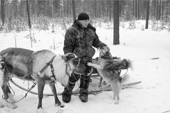 Молодые оленеводы