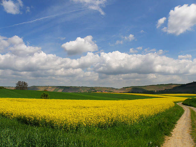 дорога за облаками