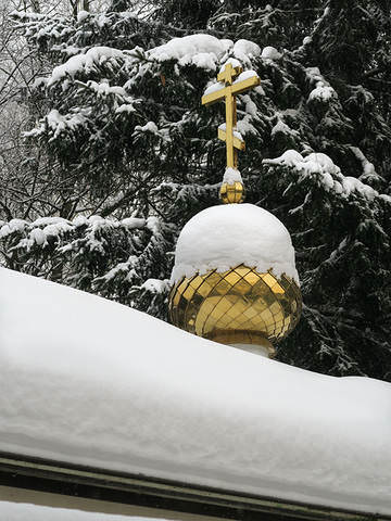 Снежком припорошило