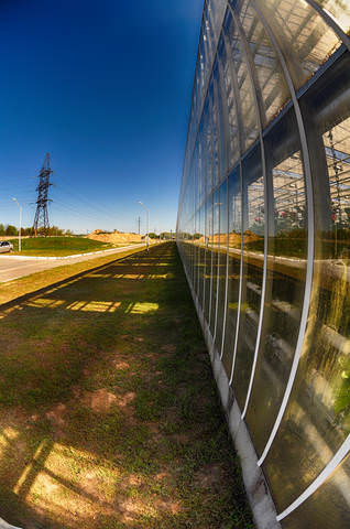 windows