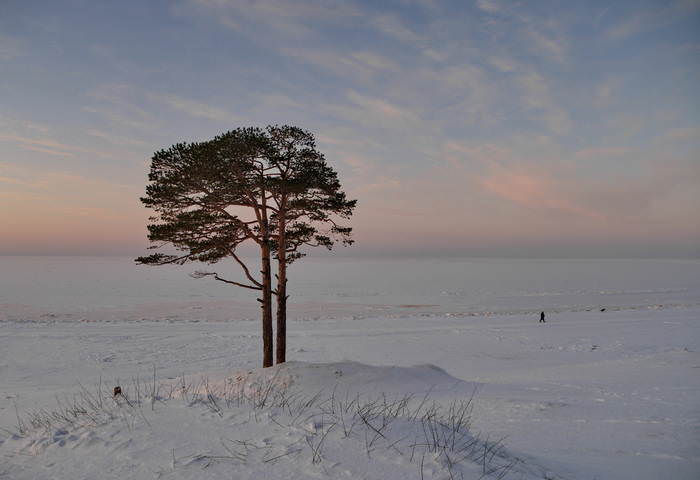 Белое море