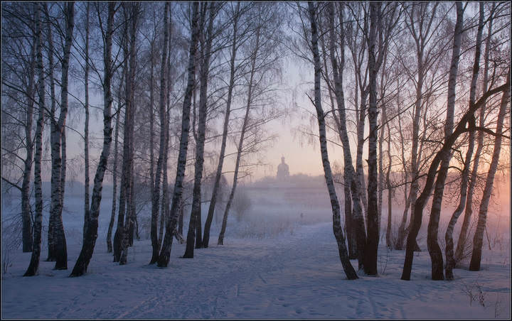 В утреннем тумане