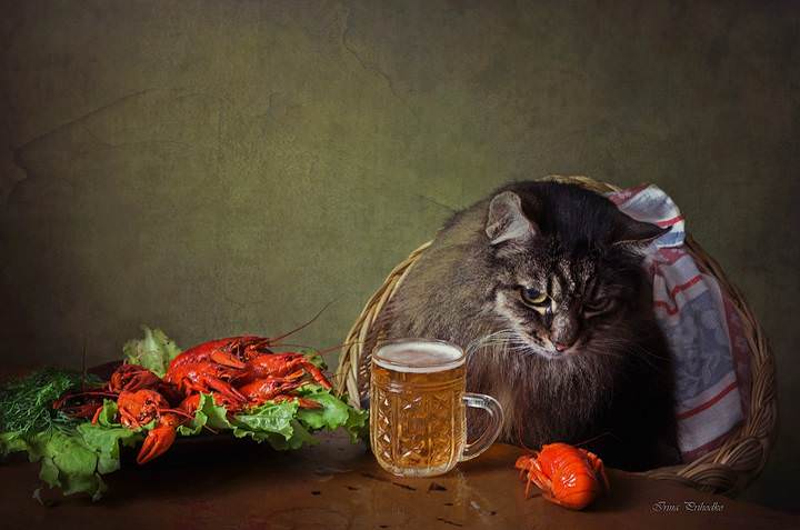 Жизнь удалась