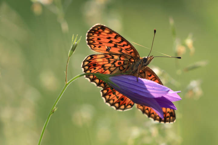 # 8