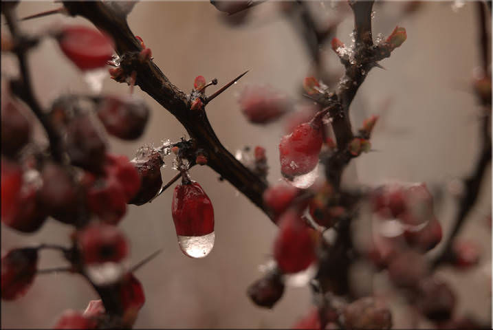 # 1