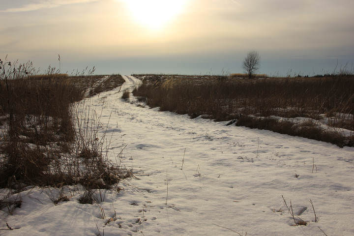 # 1