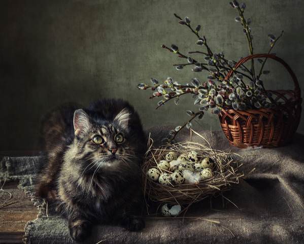 Весенний натюркот