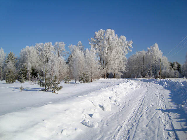 Март. Сельская дорога.