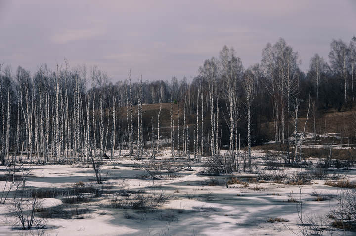 Запахло весной