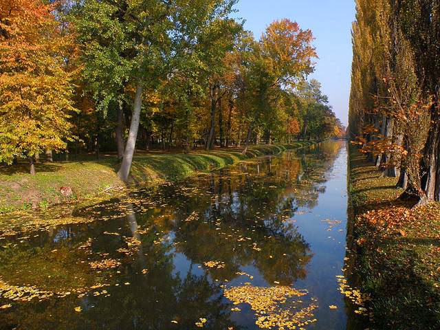 перспектива 