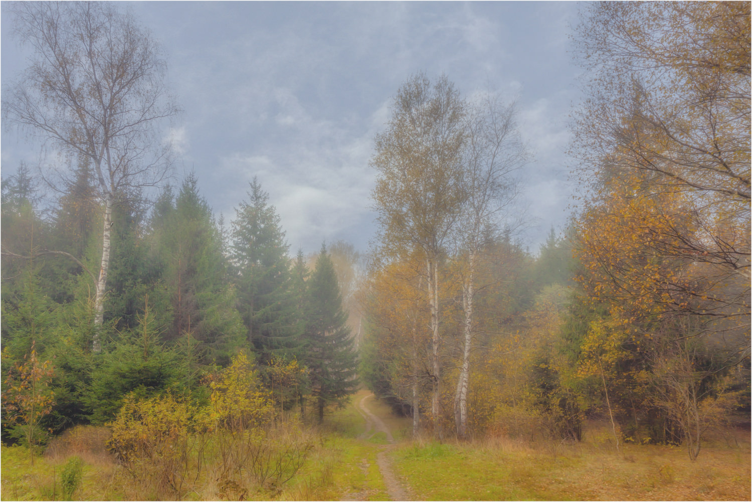 Осенним утром в лесу