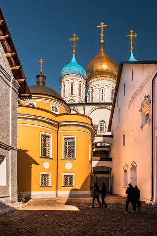 Новоспасский в деталях