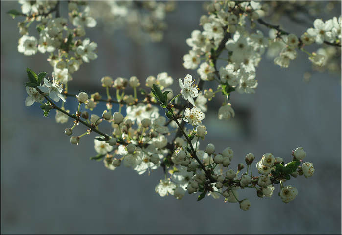 # 2