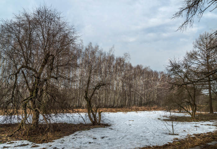 О весенней изломанности