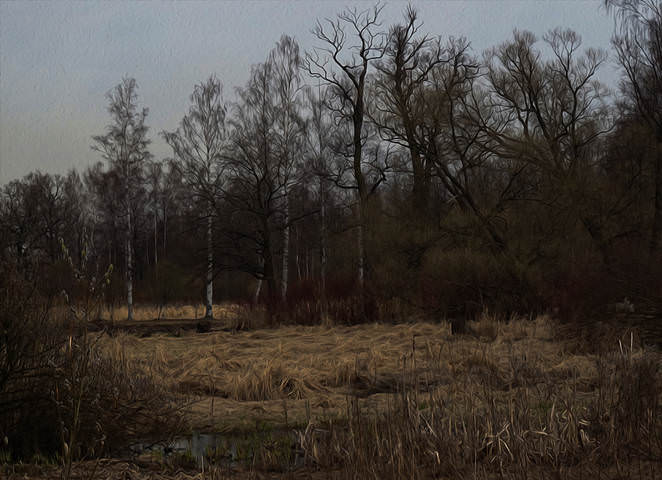 В глубине парка