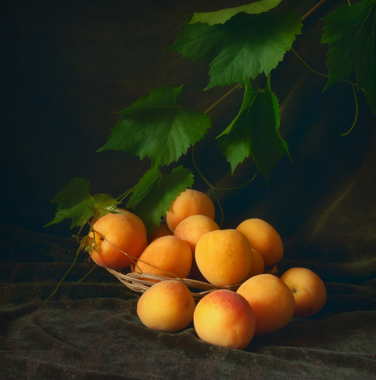 Этюд с абрикосами