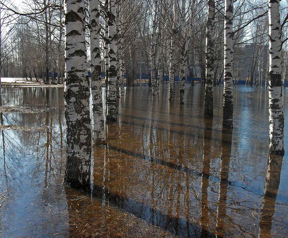 Весна