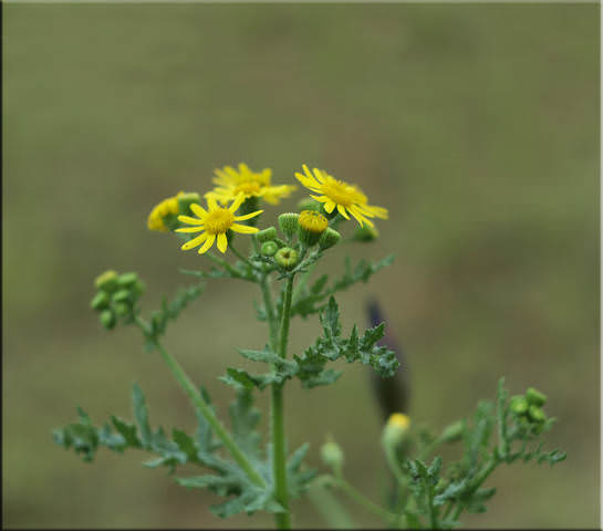 572059a3c2c26443aa049d15