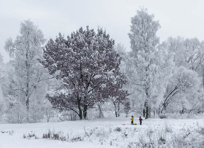 Заметает время снег...