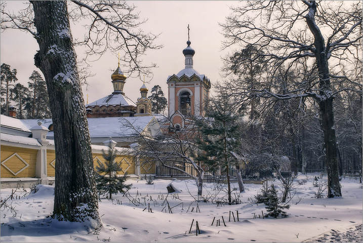 У скитской ограды