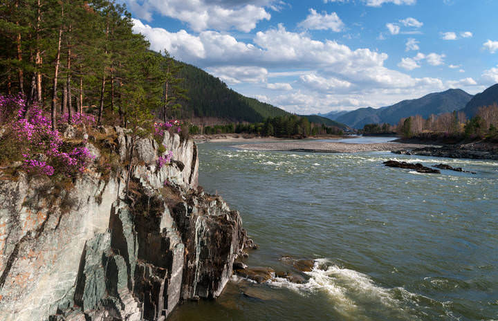Катунь 