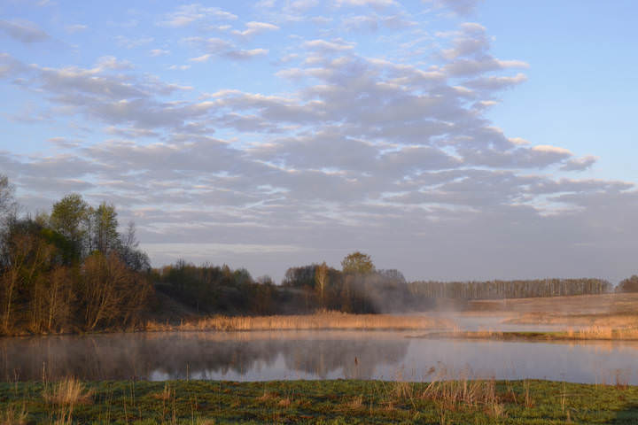 У реки