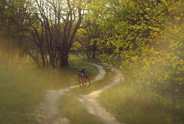 Весенними вечерами