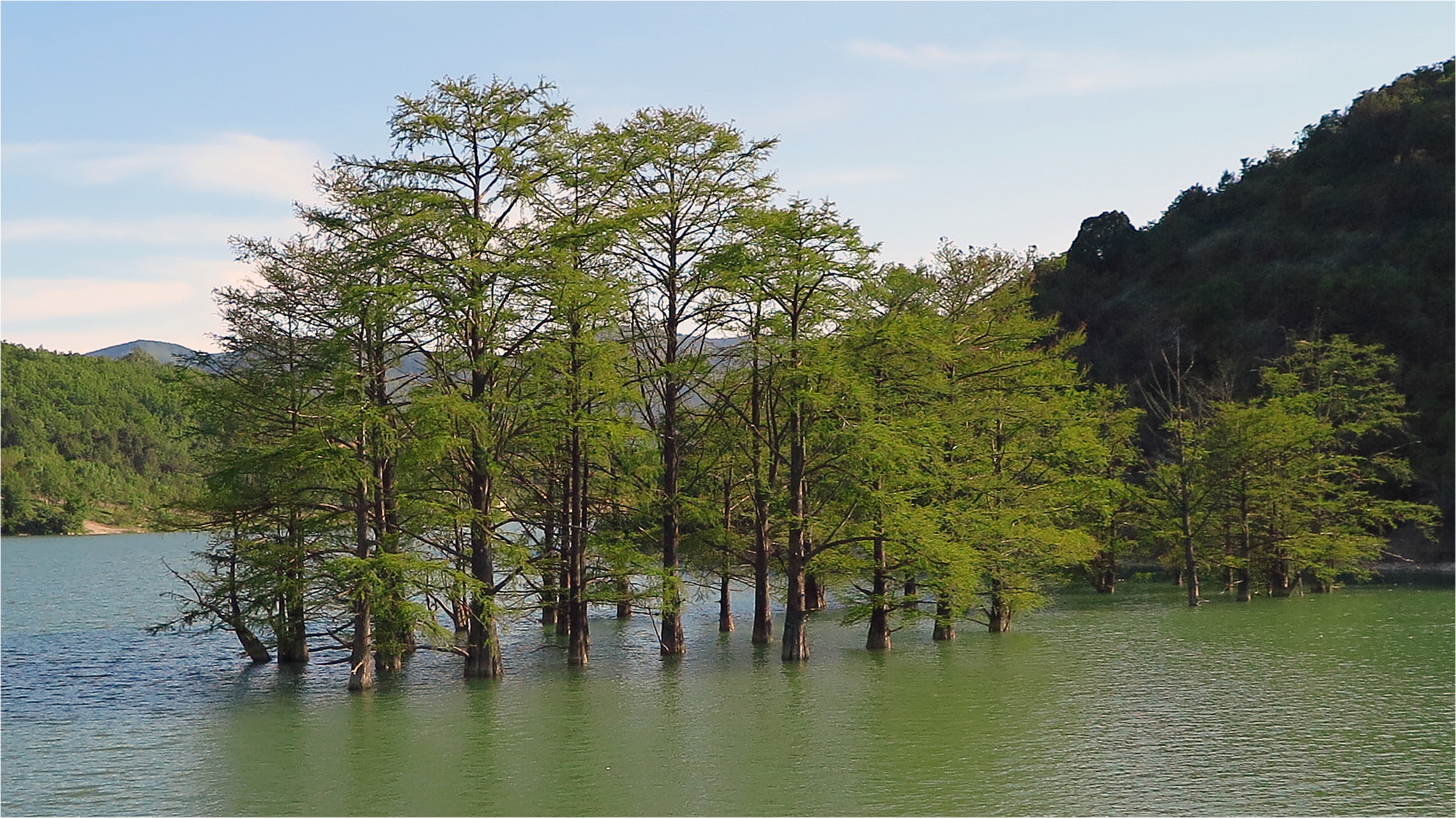 кипарисовое озеро новороссийск фото