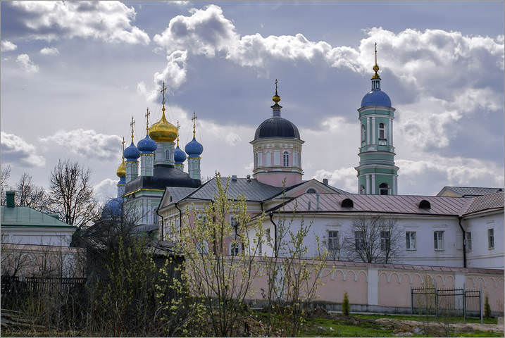 Когда цветет ива