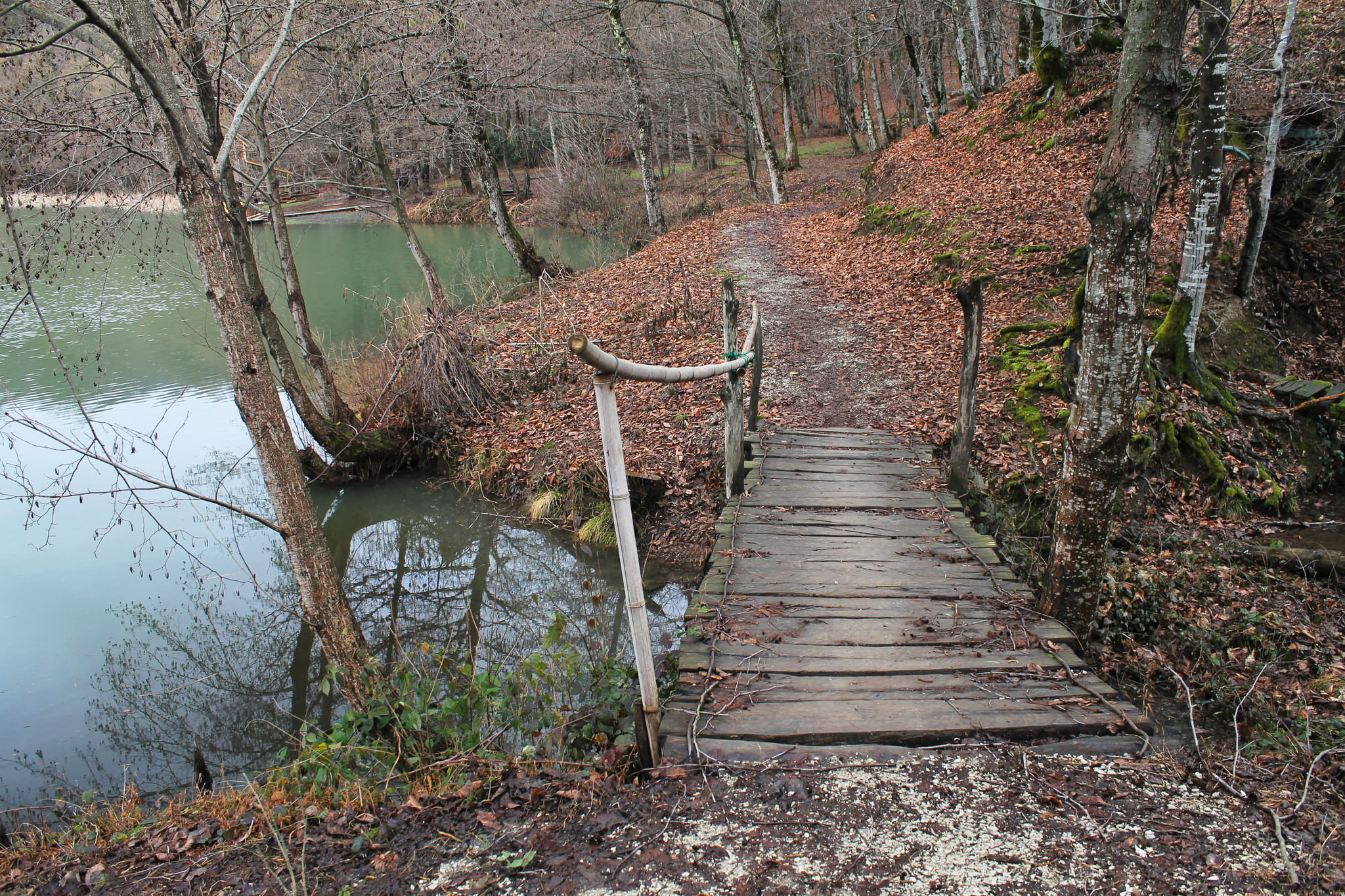 Через мосток к озеру
