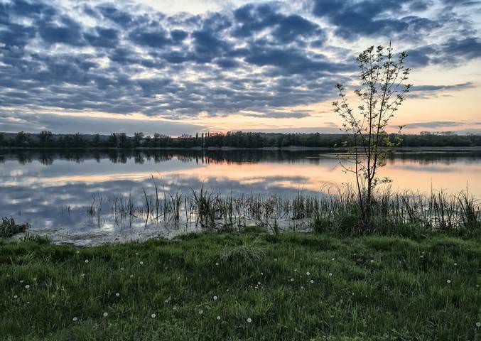 Вечерние зарисовки...