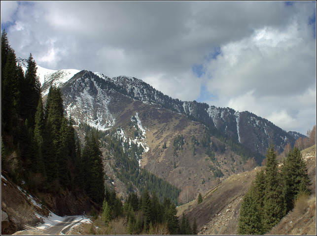 В ущелье.