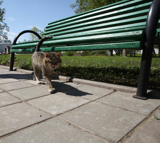 Хитрец