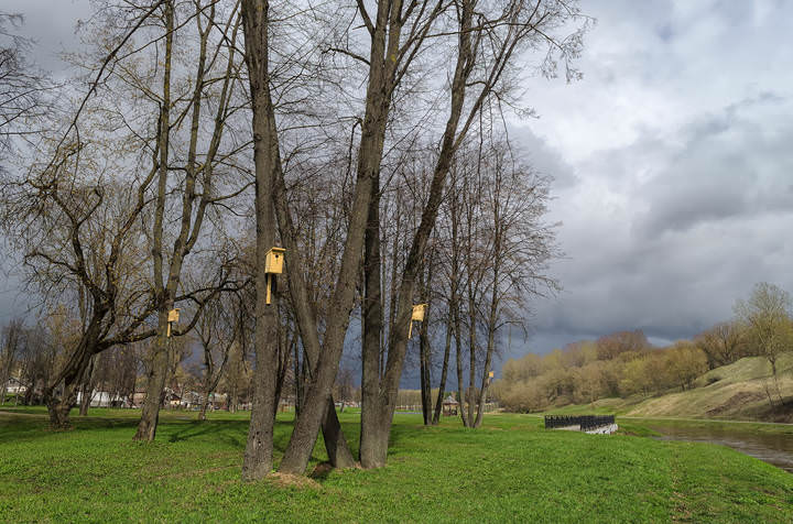 В апрельском парке