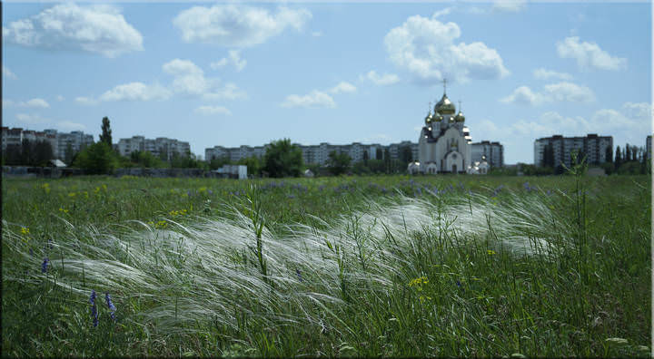 Степь в городе