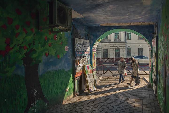 Общительные интрадосы