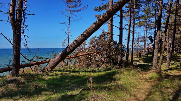 Море ласково и беспощадно