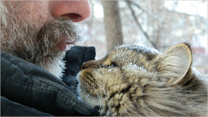 Доверие