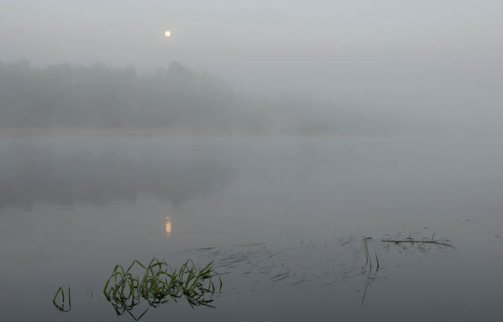 Утро на реке