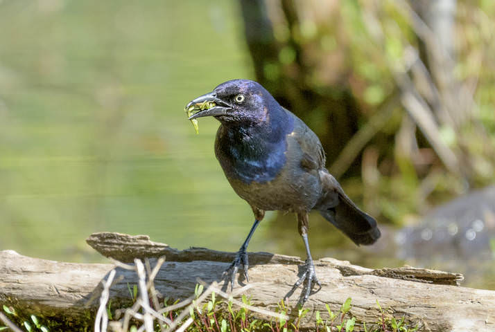 # 6