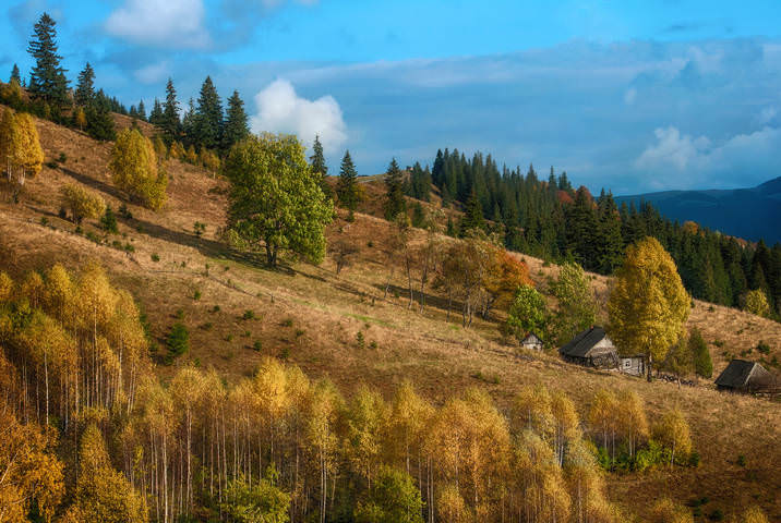 Осенью