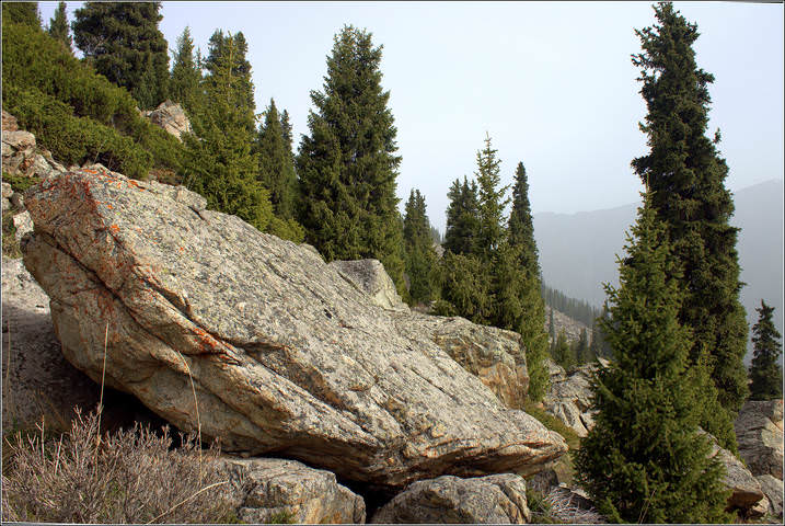 Камень.