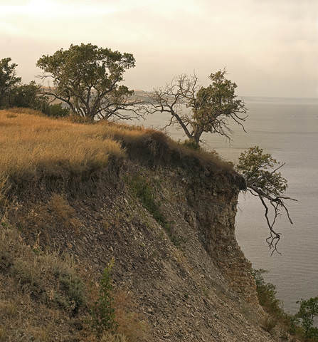 Берег Волги