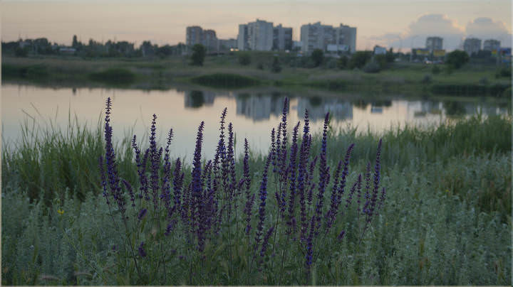 На крутом берегу