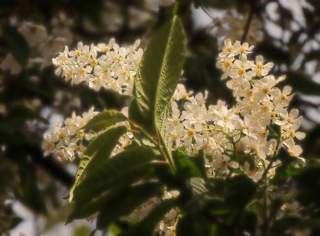 # 1