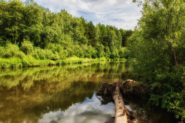 тихая вода